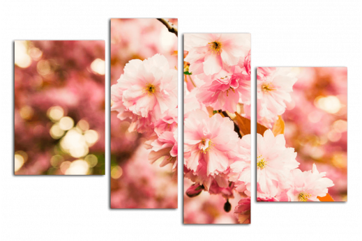 Модульная картина Цветущая Сакура